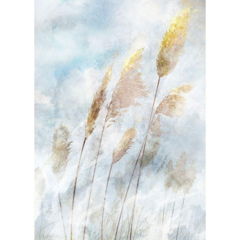 Reed Field II Black Modern Wood Framed Art Print by Roko, Ken