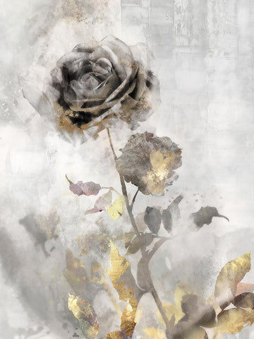 Black Roses II Black Modern Wood Framed Art Print by Roko, Ken