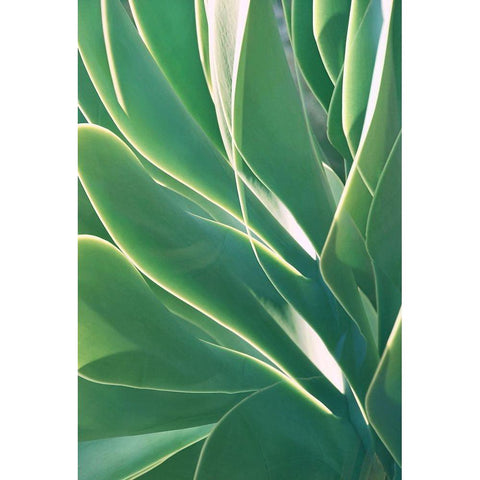 Botanical Light Play White Modern Wood Framed Art Print by Robertson, Leda
