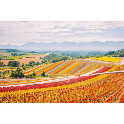Flowers in Hokkaido II  Gold Ornate Wood Framed Art Print with Double Matting by Lefer, Clement