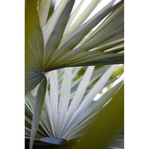 Transcending I White Modern Wood Framed Art Print by Mourier, Lily