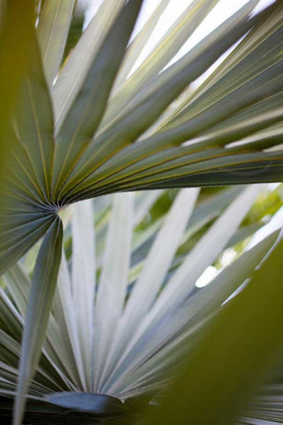 Transcending I White Modern Wood Framed Art Print with Double Matting by Mourier, Lily