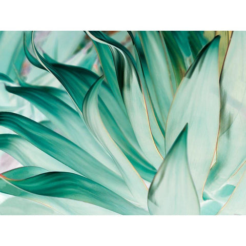 Prickle Black Modern Wood Framed Art Print with Double Matting by Mourier, Lily