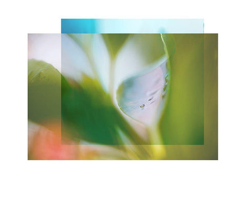 Leaf Overlap White Modern Wood Framed Art Print with Double Matting by Delva, Florence