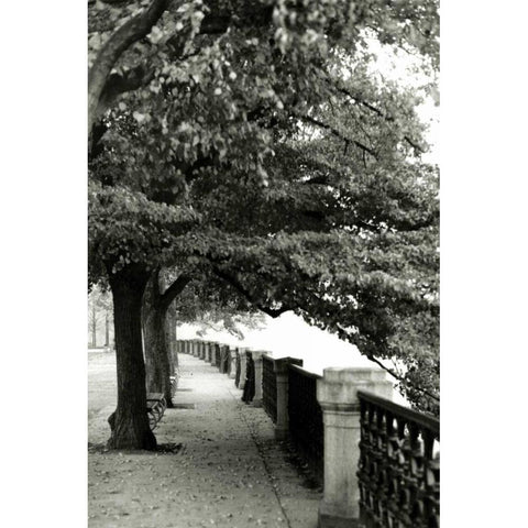 Park at Dusk II Gold Ornate Wood Framed Art Print with Double Matting by Denardo, Laura
