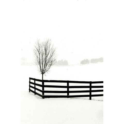 Snowy Wonderland I  Black Modern Wood Framed Art Print by Denardo, Laura