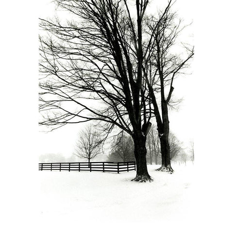 Snowy Wonderland II Gold Ornate Wood Framed Art Print with Double Matting by Denardo, Laura