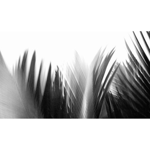 In the Green I - B-W  White Modern Wood Framed Art Print by Weisbeck, Lena