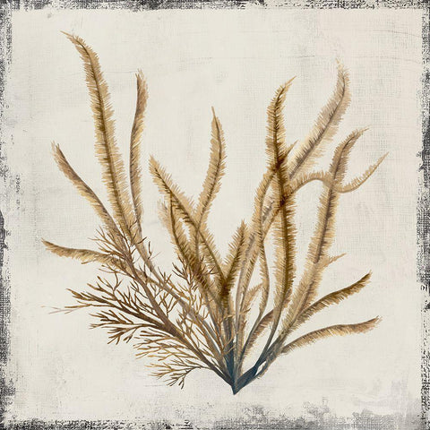Yellow Coral I  Black Modern Wood Framed Art Print by Lily K