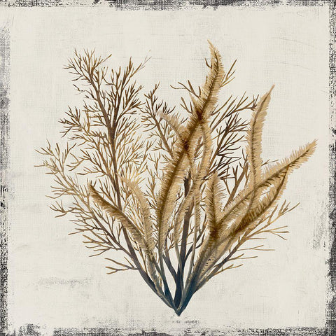 Yellow Coral III Black Ornate Wood Framed Art Print with Double Matting by Lily K