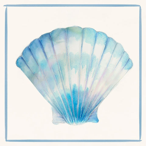 Seashell Serenade III White Modern Wood Framed Art Print with Double Matting by Lily K