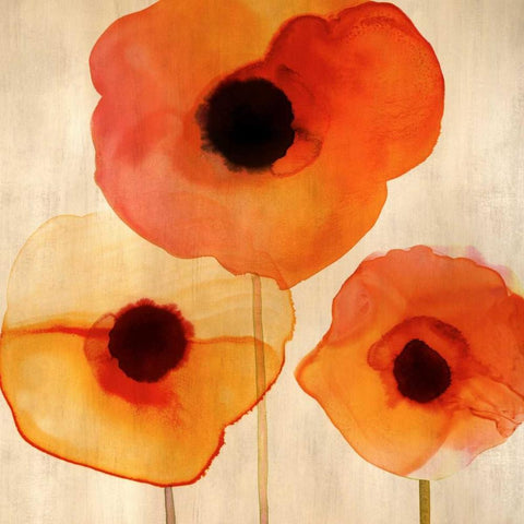 Orange Poppies I Black Modern Wood Framed Art Print with Double Matting by Berg, Margaret