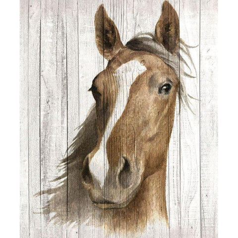 Chestnut Mare I Black Modern Wood Framed Art Print with Double Matting by May, Maya