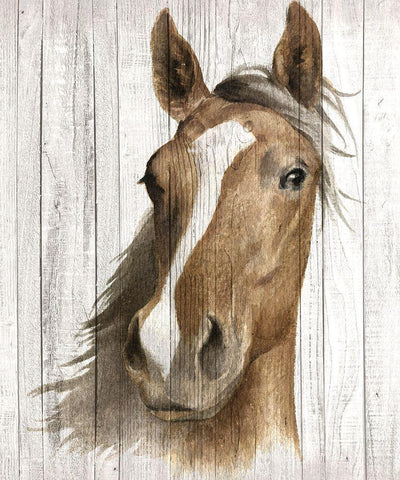 Chestnut Mare I White Modern Wood Framed Art Print with Double Matting by May, Maya