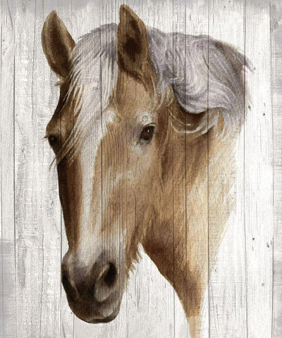 Chestnut Mare II Black Ornate Wood Framed Art Print with Double Matting by May, Maya