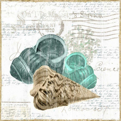 Shell Letter II White Modern Wood Framed Art Print with Double Matting by Woods, Maya