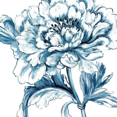Norwegian Botanical II Black Modern Wood Framed Art Print with Double Matting by Woods, Maya