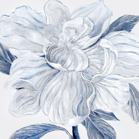 Fresh Petals I White Modern Wood Framed Art Print with Double Matting by Woods, Maya