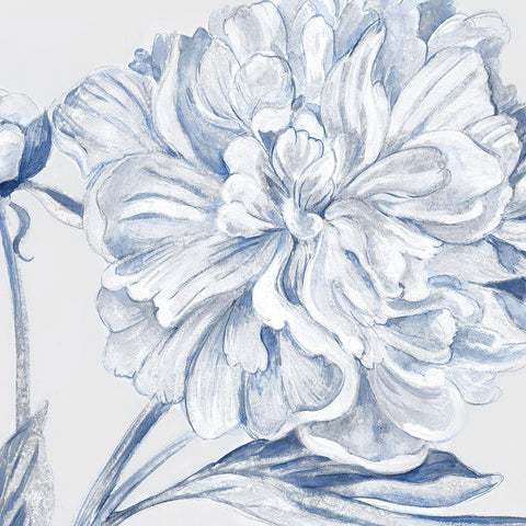 Fresh Petals II White Modern Wood Framed Art Print with Double Matting by Woods, Maya