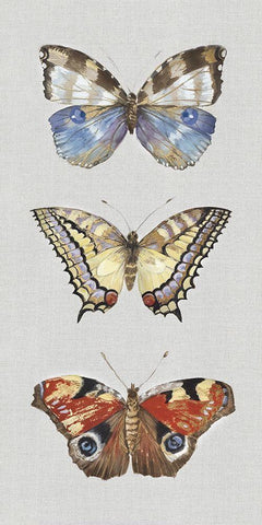Catching Butterflies II  Black Ornate Wood Framed Art Print with Double Matting by Woods, Maya