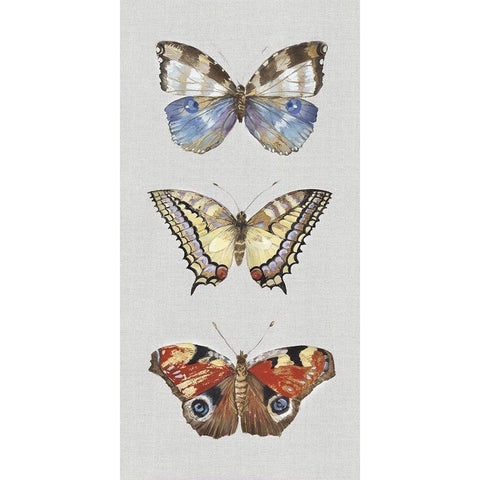 Catching Butterflies II  Black Modern Wood Framed Art Print with Double Matting by Woods, Maya