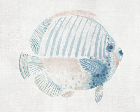 Sergeant Major Fish  White Modern Wood Framed Art Print with Double Matting by Woods, Maya