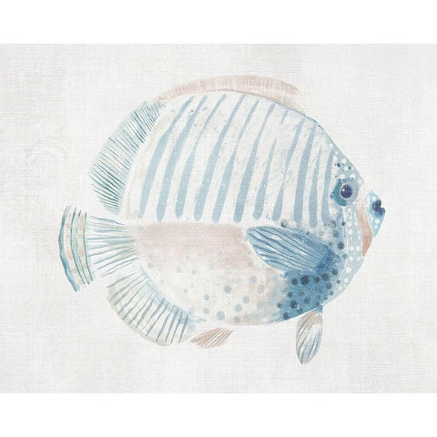 Sergeant Major Fish  Black Modern Wood Framed Art Print by Woods, Maya