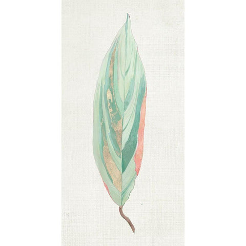 Ginger Leaf II Black Modern Wood Framed Art Print with Double Matting by Woods, Maya