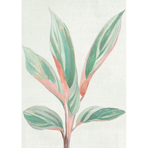 Ginger Plant I Black Modern Wood Framed Art Print with Double Matting by Woods, Maya