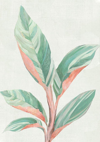 Ginger Plant II White Modern Wood Framed Art Print with Double Matting by Woods, Maya