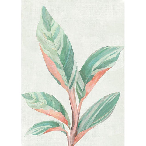 Ginger Plant II Black Modern Wood Framed Art Print with Double Matting by Woods, Maya