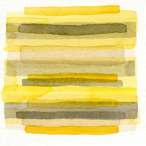 Citrus II Black Modern Wood Framed Art Print with Double Matting by Galapon, Nikki