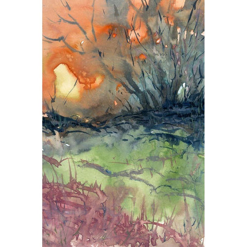 Morning Rays Gold Ornate Wood Framed Art Print with Double Matting by Noble, Randy