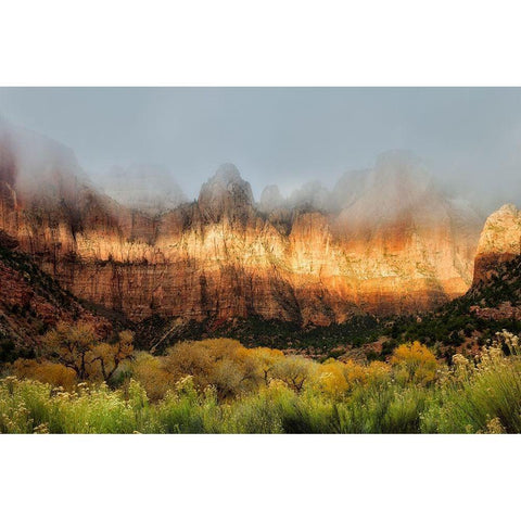 Sun Streaking  White Modern Wood Framed Art Print by Frates, Nicki