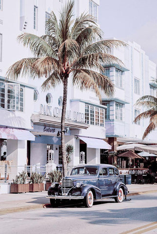 Miami Beach Park Central Hotel  Black Ornate Wood Framed Art Print with Double Matting by Haase, Andrea