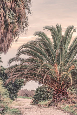 Portugal Travel Impression Pastel Sundown  White Modern Wood Framed Art Print with Double Matting by Haase, Andrea