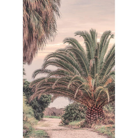 Portugal Travel Impression Pastel Sundown  Black Modern Wood Framed Art Print with Double Matting by Haase, Andrea