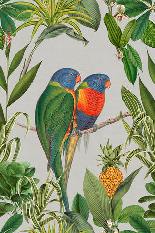 Parakeets Tropical Garden  I White Modern Wood Framed Art Print with Double Matting by Haase, Andrea