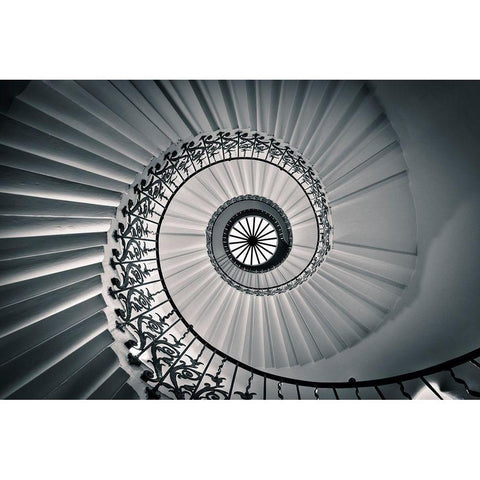 The Tulip Staircase Black Modern Wood Framed Art Print by Jackson, Nick