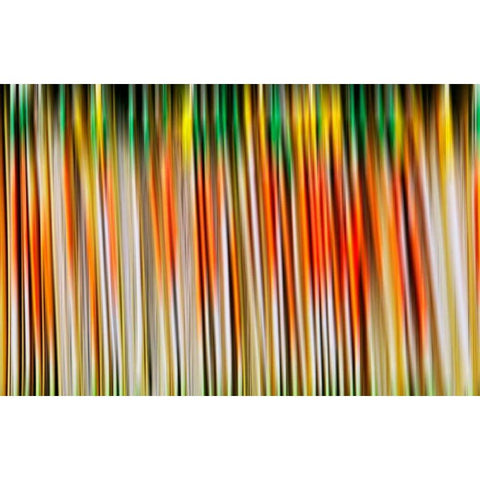 Undulate I White Modern Wood Framed Art Print by Nall, Skip
