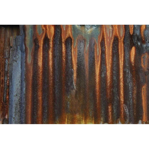 Metal I White Modern Wood Framed Art Print by Stelfox, Norm