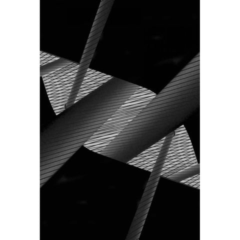 Back to Black I Black Modern Wood Framed Art Print with Double Matting by Selfox, Norm
