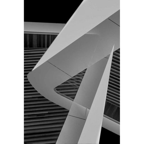 Back to Black II White Modern Wood Framed Art Print by Selfox, Norm