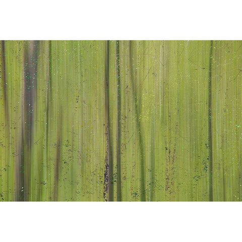 Green III Gold Ornate Wood Framed Art Print with Double Matting by Stelfox, Norm