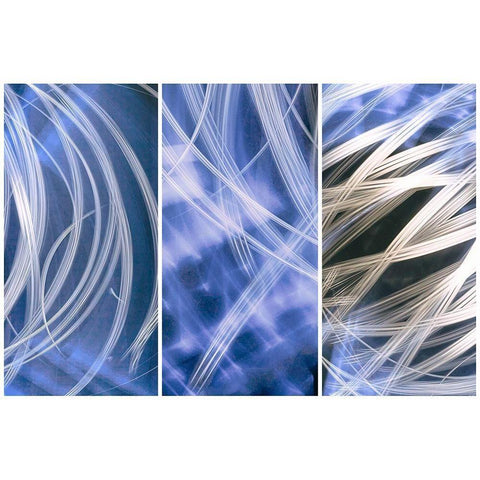 Flourish Black Modern Wood Framed Art Print by Stelfox, Norm