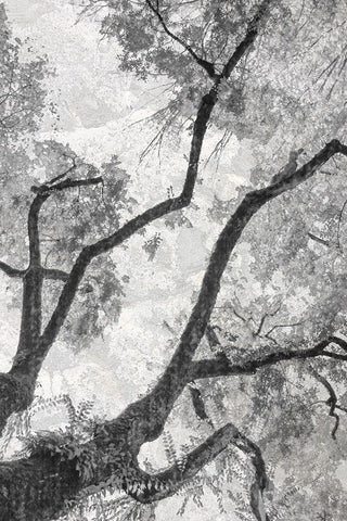 Gloomy Branches White Modern Wood Framed Art Print with Double Matting by Stelfox, Norm