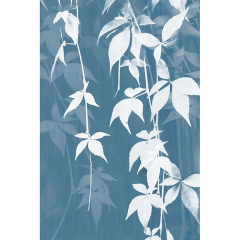 Reductive Vine I  Black Modern Wood Framed Art Print by Stelfox, Norm