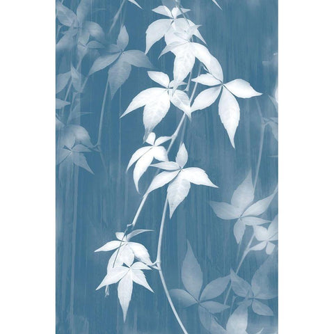Reductive Vine II Black Modern Wood Framed Art Print by Stelfox, Norm