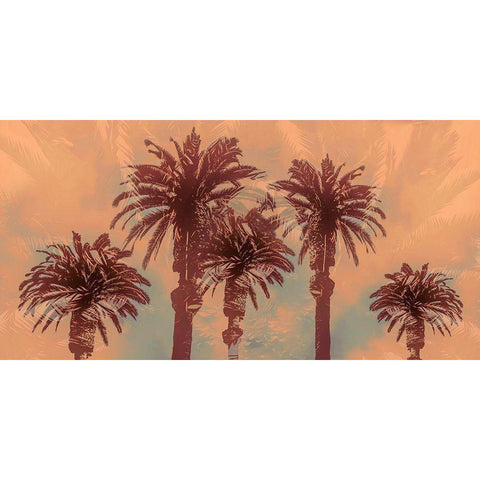 Palm Springs Black Modern Wood Framed Art Print with Double Matting by Stelfox, Norm