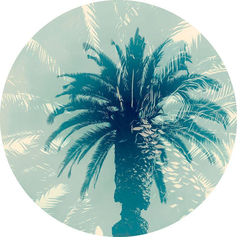 Blue Palm I  Black Modern Wood Framed Art Print by Stelfox, Norm